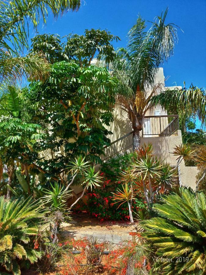 Constantaras Apartments Protaras Exterior photo